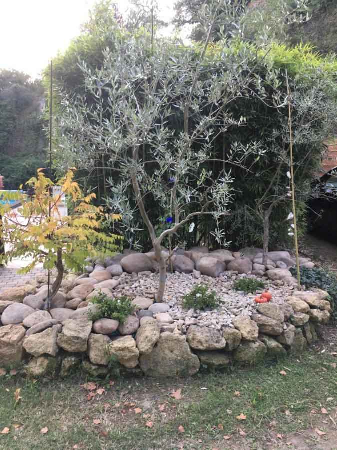 Le Mas Aux Aromes Puget ภายนอก รูปภาพ